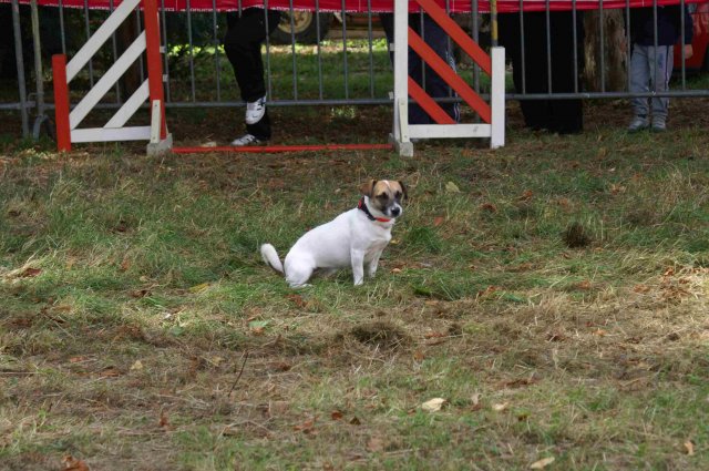 foire-haricots 2011-09-17et18